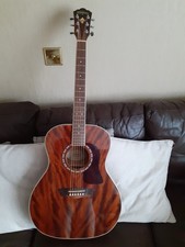 Washburn heritage g12s for sale  DONCASTER