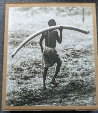 Peter beard. the d'occasion  Talant