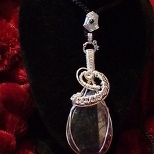 Orthoceras fossil silver for sale  ABERGELE