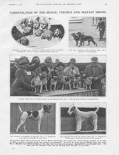 Dogs scenes shows for sale  GLASGOW