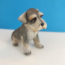 2004 sitting schnauzer for sale  Lake Zurich