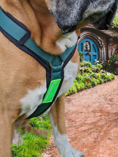 Ausverkauf lagerräumung hunde gebraucht kaufen  Hagen