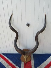Awesome antique victorian for sale Awesome antique victorian for sale  BRENTFORD