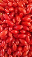 Goji berry fresh for sale  Yorkville