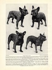1930s vintage french for sale  Harborton