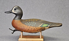 Blue winged teal for sale  Monroe