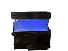 Fish tanks sale for sale  Lake Worth