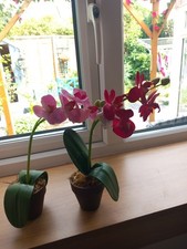 Artificial orchid plants for sale  STOURPORT-ON-SEVERN