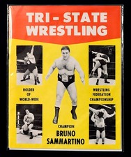 1960s bruno sammartino for sale  Gainesville