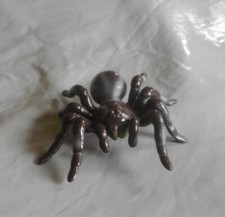 Große vogelspinne spinne gebraucht kaufen  Breitenberg