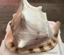 Large king queen for sale  Lockport