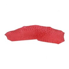 Découpe flanc alligator d'occasion  Campbon