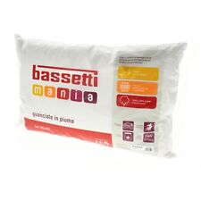Guanciale bassetti 100 usato  Fasano