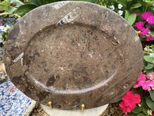 Fossil plate ammorite for sale  PORTSMOUTH