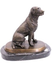labrador for sale labrador for sale LEEDS
