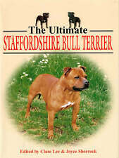 Ultimate staffordshire bull for sale  AMMANFORD