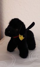 Steiff pudel blacky gebraucht kaufen  Frankfurt am Main