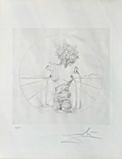 Salvador dalì venere usato  Teramo
