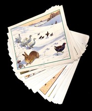 Antique enid blyton for sale  PETERBOROUGH