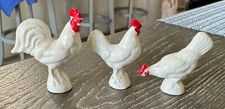 Rooster hen chicken for sale  Boynton Beach