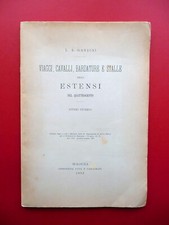 Viaggi cavalli bardature usato  Italia