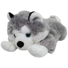 Süßer husky zum gebraucht kaufen  Neusäß
