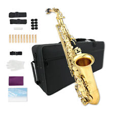 Saxofone Alto E Flat Gold Lacquer Alto Iniciante Sax Kit Completo Estojo de Sax de Transporte comprar usado  Enviando para Brazil