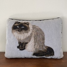 Fluffy persian siamese for sale  San Luis Obispo