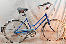 Schwinn collegiate kids for sale  Madison