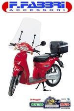 Parabrezza paravento top usato  Palermo
