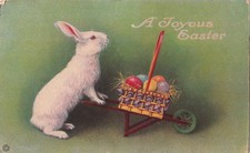 Cartão postal albino coelho empurrando ovos 1921 comprar usado  Enviando para Brazil