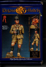 Pegaso models 186 usato  Ferrara