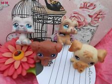 Petshop asbro lot d'occasion  Léognan