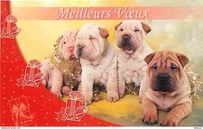 Animaux chiens sharpei d'occasion  Fruges