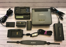 Sony dsr v10p usato  Virle Piemonte