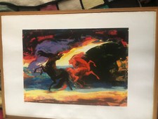 Bruttissima colori stupendi usato  Corciano