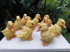 Canetons ducklings statuette d'occasion  Salernes
