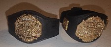 Tna heavyweight championship for sale  Marietta