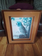 Owl art mark for sale  HIGHBRIDGE
