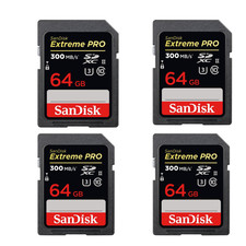 Cartão de memória flash SanDisk Ultra 64 GB SDXC classe 6 comprar usado  Enviando para Brazil