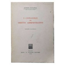 Giuseppe stancanelli consorzi usato  Taranto