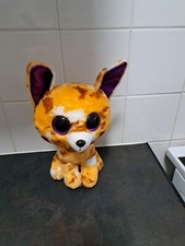 Beanie pablo chihuahua for sale  DERBY