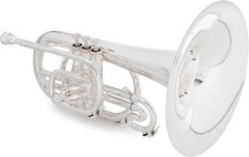 Eastman emp304s mellofono usato  Spedire a Italy