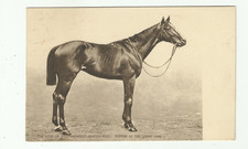 Horse racing jockey. for sale  MINEHEAD