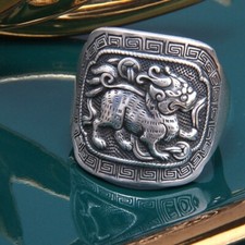 N37 ring pixiu gebraucht kaufen  Mörfelden-Walldorf