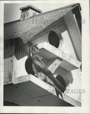 1983 press photo for sale  Memphis