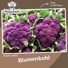 Blumenkohl sicilia violetto gebraucht kaufen Blumenkohl sicilia violetto gebraucht kaufen  Sinsheim
