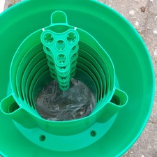 Garden tomato plant for sale  BEDFORD
