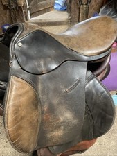 Brown idea pony for sale  GREAT YARMOUTH