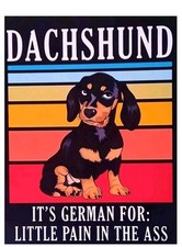 Lustiges blechschild dackel gebraucht kaufen  Braunschweig